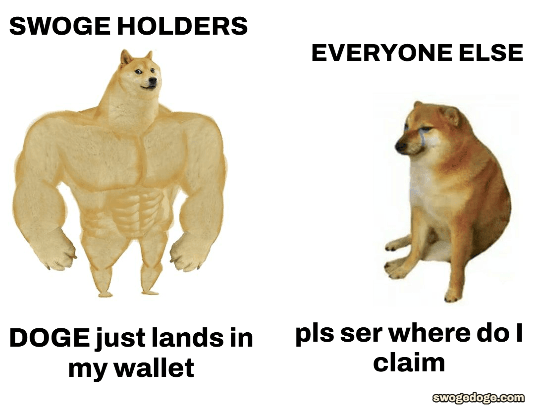 A SWOGE meme by a gym visitor
